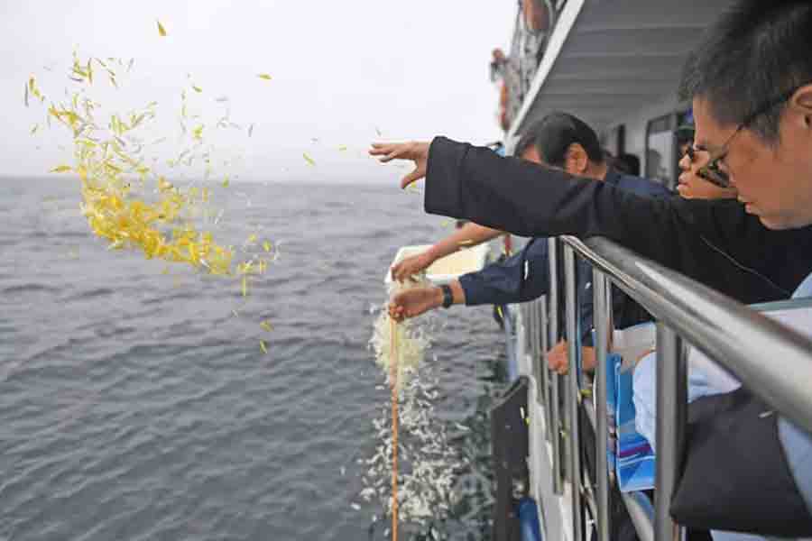 北京骨灰海撒