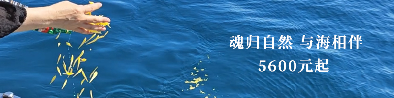 骨灰海撒服务价格.jpg