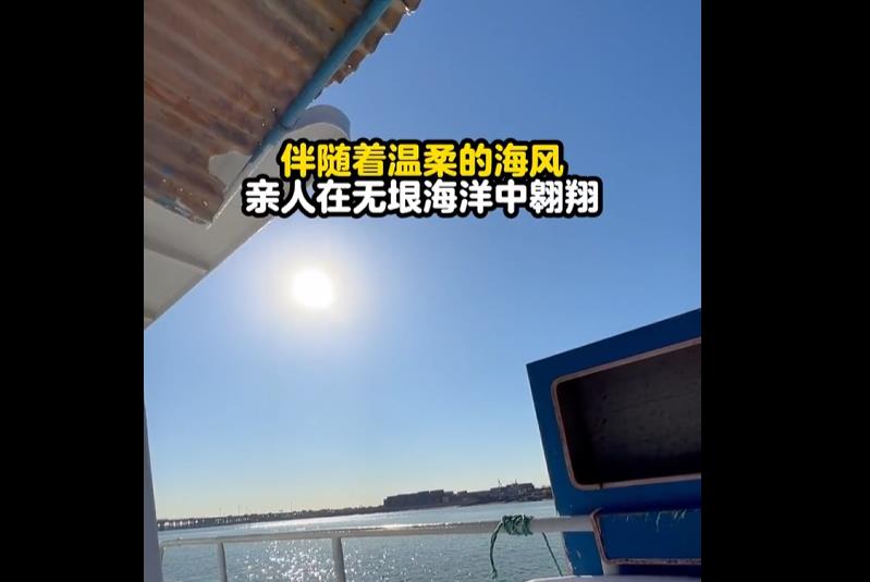 天津骨灰撒海手续