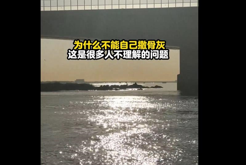 北京树葬公墓哪里有？北京树葬价格多少钱？北京树葬价格一览表